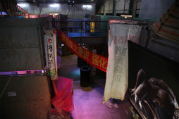 ꡼ No.046 | ХϥɤȥܤɥХХեɡֶζ ƮԳפ̥롼ΥХХ륲­θƤ