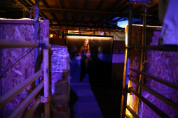 ꡼ No.048 | ХϥɤȥܤɥХХեɡֶζ ƮԳפ̥롼ΥХХ륲­θƤ