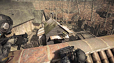 ꡼ No.008 | ֥Хϥ ֥饳סХϥɥ꡼ʤо쥨ꥢդȤޤޤʡɤ