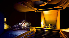 ꡼ No.012 | ֥Хϥ ֥饳סХϥɥ꡼ʤо쥨ꥢդȤޤޤʡɤ