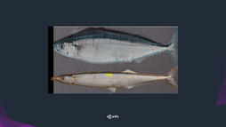 ꡼ No.015Υͥ / Unite 2016ϥǥΤ餷ΤϳȯԼȤȶɡåUnityȤäĿͥ೫ȯˤؼײ٤θ̤İ֥ݡ