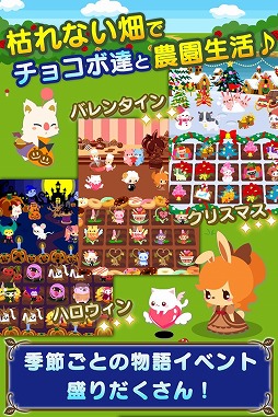 ꡼ No.003 | ॲ֥祳ܤΥ祳äפץۿ