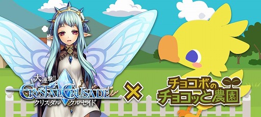 ꡼ No.004Υͥ / dǡ֥祳ܤΥ祳äס֥ꥹ륯륻ɡפȥܤ»