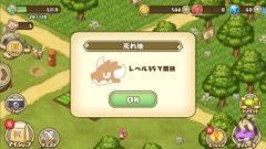 ꡼ No.019 | 襤ɥ饴λҶãȤޤä饤դڤ롤DMMΥޥ۸ߥ졼֥եɥ εȤĤʤפҲ