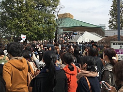 画像ギャラリー No.001のサムネイル画像 / マフィア梶田の二次元が来い!:第295回「審神者おじさんが征く誰ガ為の晴祭り」