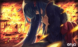 ���������꡼ No.011�Υ���ͥ������ / ��ï���٤Υ��륱�ߥ��ȡס�555��DL���ˤ�ǰ���������ڡ��󤬳���