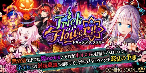 ���������꡼ No.013�Υ���ͥ������ / �֥�������ץ�꡼��1000��������ȥ����󥭥��ڡ���򳫺�