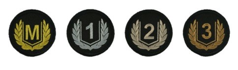 ꡼ No.006 | World of Tanks: Mercenariesסǥץ쥤䡼2000ͤˡӥ6ǯǰڡ󤬳