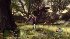 ꡼ No.013Υͥ / ֥ɥȡ饤 ۥꥢꥼ󡽡о쥭ΥХȥ䥤٥ȥ󤬿˸