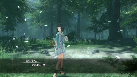 ꡼ No.008 | SAO ۥꥢꥼ󡽡׷Υ楦NPCˡNPCˤȤäƤΡȥǥɡSA:Oդ䡤̥ȥ饹ξ