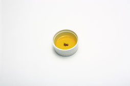 ���������꡼ No.005�Υ���ͥ������ / ��������Υա��ɤ�ºݤ�̣�廊��֥��ʥ������ǥ�ץ���ܥ��ե������ո��˥����ץ󡣥����åե�å���������������å��ʤ����������¿��Ÿ��