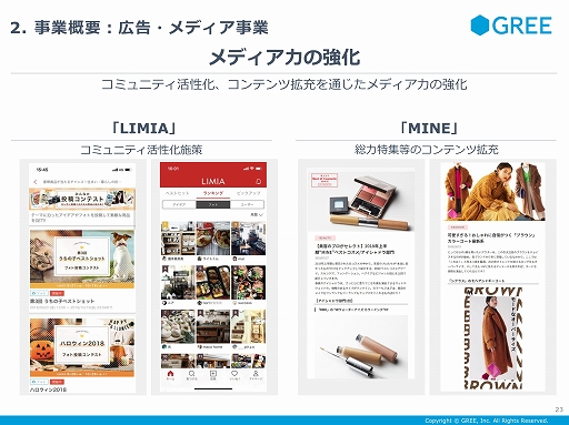 画像ギャラリー No.019のサムネイル画像 / 「アナザーエデン」のガチャ問題に対するグリーの見解も示された,同社の2019年第1四半期の決算説明会をレポート