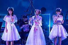 ���������꡼ No.003�Υ���ͥ������ / �֥��ʥ������ǥ� ������Ķ����ǭ�ס����󥵡��ȡ�a refrain of times�פθ�����ݡ��Ȥ�����