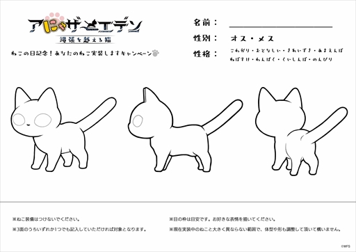 ꡼ No.006 | ֥ʥǥ ĶǭסĹȿŷ׺ǽäɲä륢åץǡȤ»ܤ