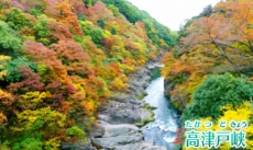 ꡼ No.015Υͥ / ǥ100ⱿžǤ롣3DSŴƻˤäݤϩ ŵŴƻԡפ2015ǯ115ȯ