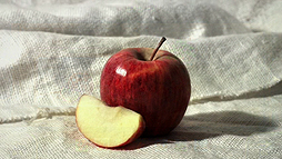 ���������꡼ No.003�Υ���ͥ������ / Wii U�ѥ��եȡ֤��ä��골�������פ�11��12��ȯ�䡣��å����Ȥ����Ƴ��򤦤ޤ���������Τ��ޤ��ޤʥ��Ĥ�ؤ٤�