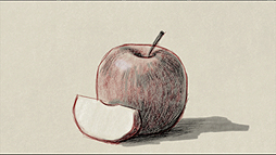 ���������꡼ No.004�Υ���ͥ������ / Wii U�ѥ��եȡ֤��ä��골�������פ�11��12��ȯ�䡣��å����Ȥ����Ƴ��򤦤ޤ���������Τ��ޤ��ޤʥ��Ĥ�ؤ٤�