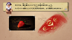 ���������꡼ No.009�Υ���ͥ������ / Wii U�ѥ��եȡ֤��ä��골�������פ�11��12��ȯ�䡣��å����Ȥ����Ƴ��򤦤ޤ���������Τ��ޤ��ޤʥ��Ĥ�ؤ٤�