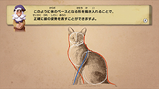 ���������꡼ No.011�Υ���ͥ������ / Wii U�ѥ��եȡ֤��ä��골�������פ�11��12��ȯ�䡣��å����Ȥ����Ƴ��򤦤ޤ���������Τ��ޤ��ޤʥ��Ĥ�ؤ٤�