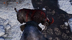 ꡼ No.006 | ޥ⥹ѿȤ˽졣֥ե饤 ץ饤ޥסʬŵȥ쥸ɡ֡ޥ⥹ɤξܺ٤