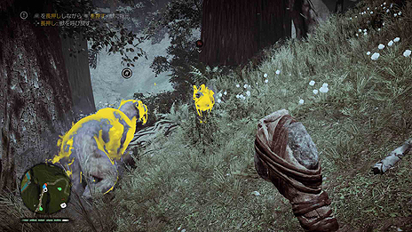 ꡼ No.005Υͥ / дȴ֥ե饤 ץ饤ޥסϥƥ󥰤ȡԽãդΤޤޤ֥ӡȥޥפξܺ٤