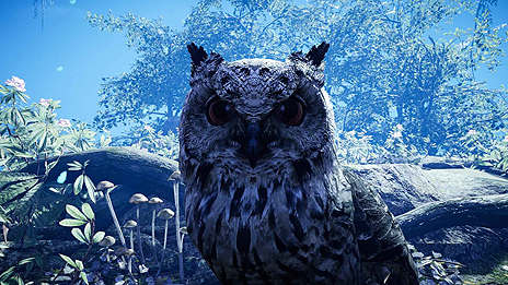 ꡼ No.008Υͥ / дȴ֥ե饤 ץ饤ޥסϥƥ󥰤ȡԽãդΤޤޤ֥ӡȥޥפξܺ٤