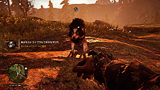 ꡼ No.011Υͥ / дȴ֥ե饤 ץ饤ޥסϥƥ󥰤ȡԽãդΤޤޤ֥ӡȥޥפξܺ٤