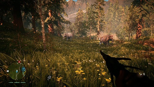 ꡼ No.009Υͥ / ֥ե饤 ץ饤ޥפǵ1ǯд˥ॹåסԽäʤ²ֹäƤޤ