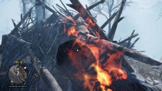 ꡼ No.004Υͥ / ¼ȯŸƥ϶ʤ롣֥ե饤 ץ饤ޥפĹƥब餫ˡȡ꡼ȥ쥤顼