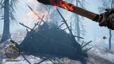 ꡼ No.005Υͥ / ¼ȯŸƥ϶ʤ롣֥ե饤 ץ饤ޥפĹƥब餫ˡȡ꡼ȥ쥤顼