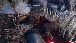 ꡼ No.009Υͥ / ֥ե饤 ץ饤ޥפDLC֥󥸥ѥåפۿ