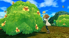 ���������꡼ No.015�Υ���ͥ������ / ���������áס���ư����̩���ϡɤξҲ�ࡼ�ӡ���������������ư�䥳���ǥ��͡��Ȥ�ڤ���������ε���