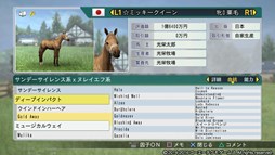 ꡼ No.005Υͥ / Winning Post 8 2016ס¿̤ӿ̾դ󥳤򳫻