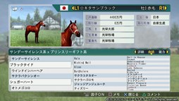 ꡼ No.007Υͥ / Winning Post 8 2016ס¿̤ӿ̾դ󥳤򳫻