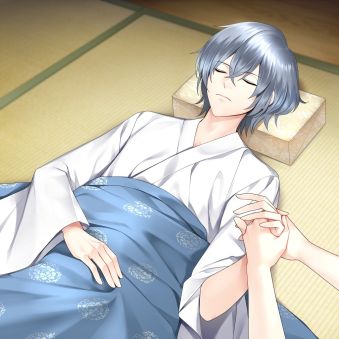 ꡼ No.006Υͥ / ָʪ˽žפۿϡ1ƤǤ2ͤΥڤ