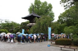 ꡼ No.002 | ֥󥹥󥬡 ȥȥץ꡼4ǯǰŷǼúספš Űΰ ؤϸڸ­Ԥ500̾Υե󤬽