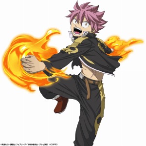 ���������꡼ No.002�Υ���ͥ������ / ��FAIRY TAIL �ˡ���ˡ����׻�����Ͽ�Կ�5���ͤ����ˡ����奨�륶��ץ쥼���