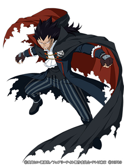 ꡼ No.009Υͥ / FAIRY TAIL ˡˡסϥ󥭥ڡ󤬽缡Ť