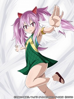 ꡼ No.011 | FAIRY TAIL ˡˡס2ǯǰڡ򳫺