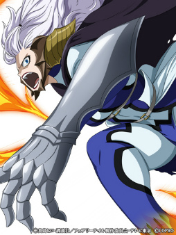 ꡼ No.007 | FAIRY TAIL ˡˡץǥ󥦥Ķե»