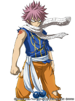 ꡼ No.009 | FAIRY TAIL ˡˡץǥ󥦥Ķե»