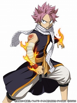 ꡼ No.003 | FAIRY TAIL ˡˡס˥ǰեƥХ򳫺