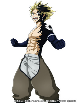 ꡼ No.008 | FAIRY TAIL ˡˡ׶˥ƥåȥե򳫺