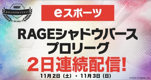 ���������꡼ No.001�Υ���ͥ������ / ��RAGE Shadowverse Pro League 19-20������ɥ�������פ���2�᤬11��2���ˡ���3�᤬3�����ۿ�