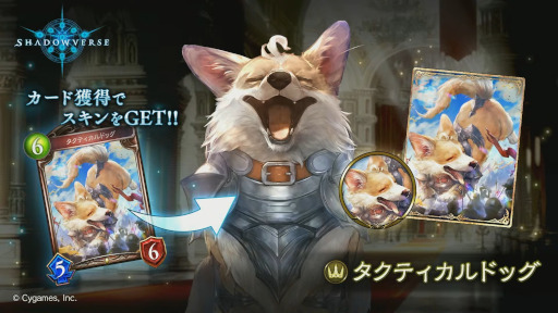 ꡼ No.012 | Shadowverseסɥѥåŷεɤ927˥꡼ȥ졼ƥɥ饴ɤʤɥɥСFΥɤ¿о