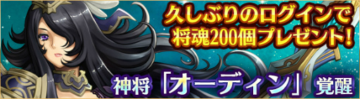 ꡼ No.002Υͥ / ֥إץǥõǰХå»