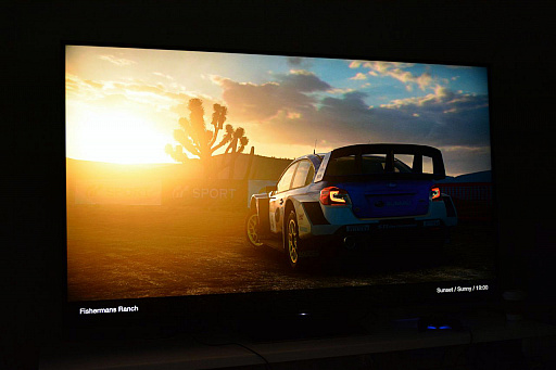 ꡼ No.010 | Τʼ֤ο̣ɽǤΤϥൡ֥ġꥹSPORTפαɽؤΤŵ᤬