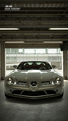 ���������꡼ No.010�Υ���ͥ������ / �֥����ġ��ꥹ��SPORT�ס������ȥ西 GR�����ץ� RZ�ʤɿ���ξ5��ȿ��������֥����ȥݥꥹ�פ��ɲä���3��Υ��åץǡ��Ȥ�»�