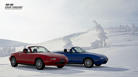 ���������꡼ No.011�Υ���ͥ������ / �֥����ġ��ꥹ��SPORT�ס������ȥ西 GR�����ץ� RZ�ʤɿ���ξ5��ȿ��������֥����ȥݥꥹ�פ��ɲä���3��Υ��åץǡ��Ȥ�»�