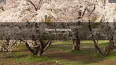 ���������꡼ No.024�Υ���ͥ������ / �֥����ġ��ꥹ��SPORT�ס����饷�å��������ꥢ��䥹���ѡ��ե����ߥ��ޥ���ʤ�5��ο���ξ���ɲä��륢�åץǡ��Ȥ�»�